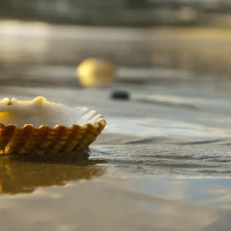 Cachalote * Portonovo